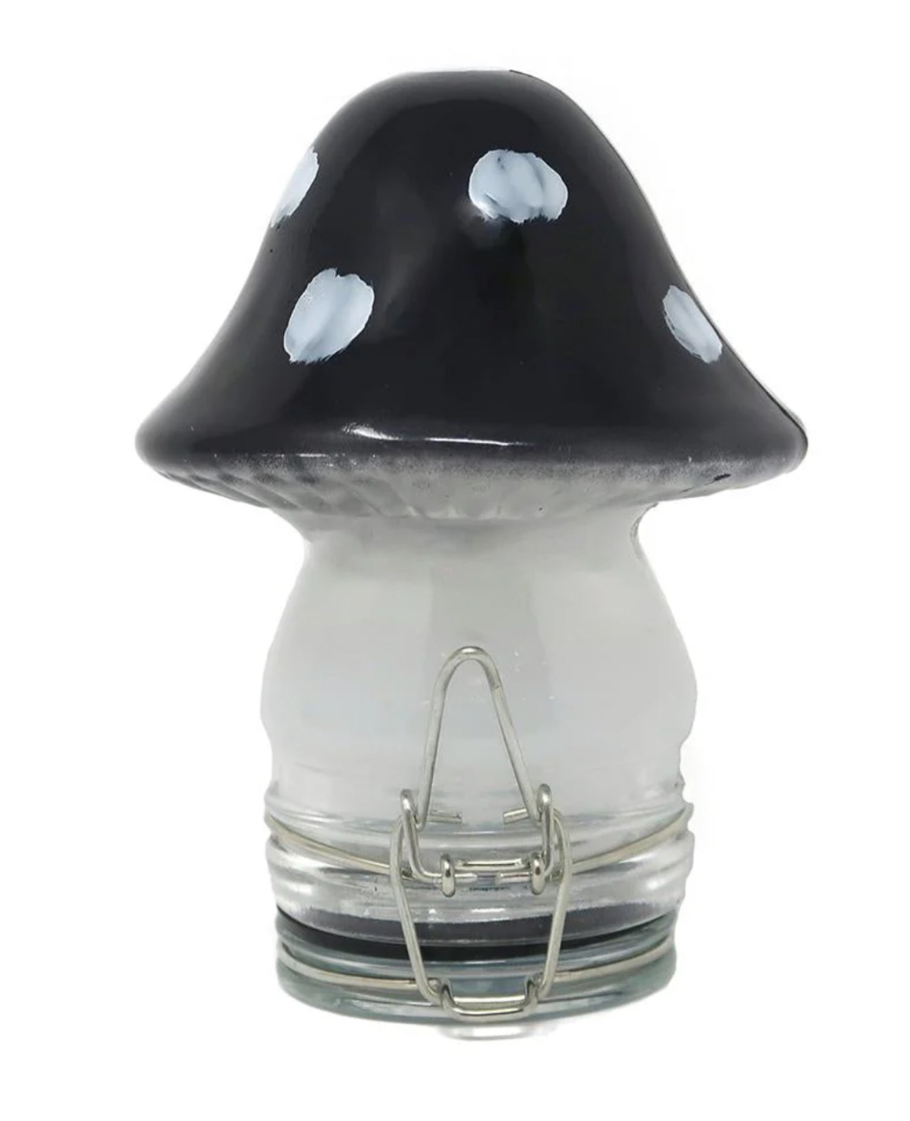 Mushroom Stash Jar