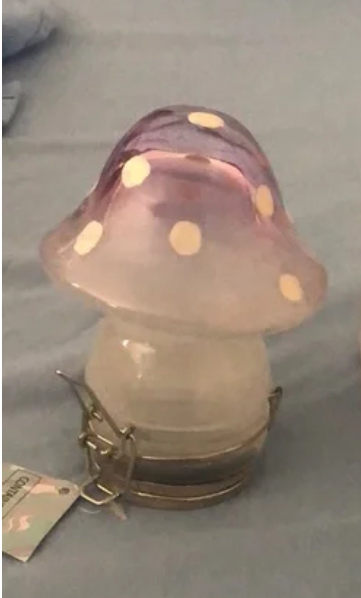 Mushroom Stash Jar